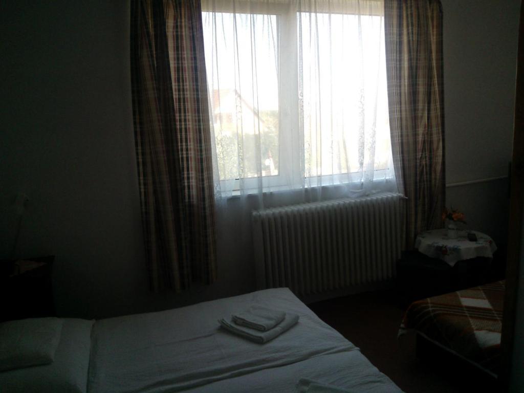 Novak Panzio Bed and Breakfast Tokaj Buitenkant foto
