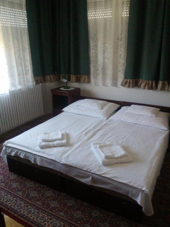 Novak Panzio Bed and Breakfast Tokaj Buitenkant foto
